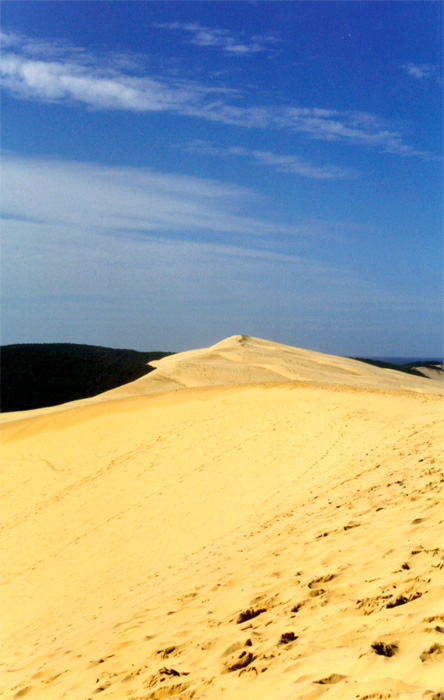 dune_pyla